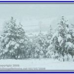 Winter wonderland in Jefferson City, MT