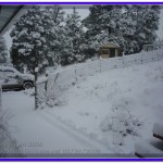 Spring Snow Storm at Jefferson City, Montana