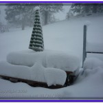 Almost 20 inches of snow at Jefferson City, Montana